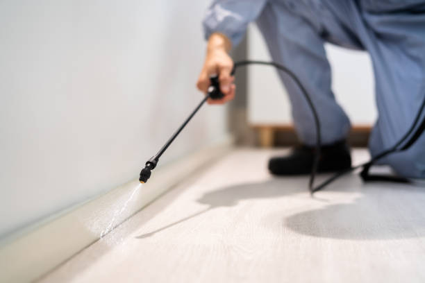 Licensed Fumigation Services service in Potomac Park, CA - Nex Pest Control