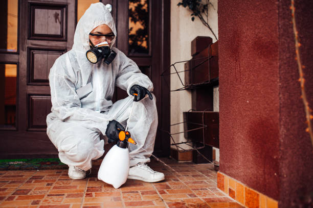 Reliable Fumigation Services contractor in Potomac Park, CA by Nex Pest Control