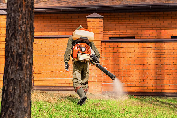 Trusted Fumigation Services service in Potomac Park, CA - Nex Pest Control